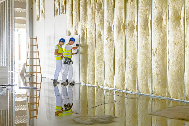 Best Insulation for Specific Applications in Reed Creek, GA